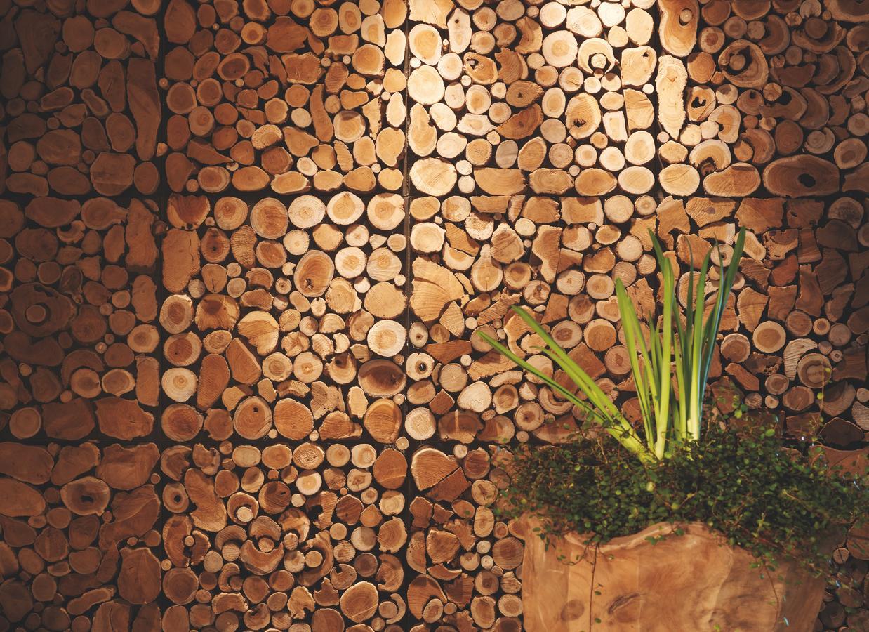 Eco & Wellness Boutique Hotel Sonne Лівіньо Екстер'єр фото